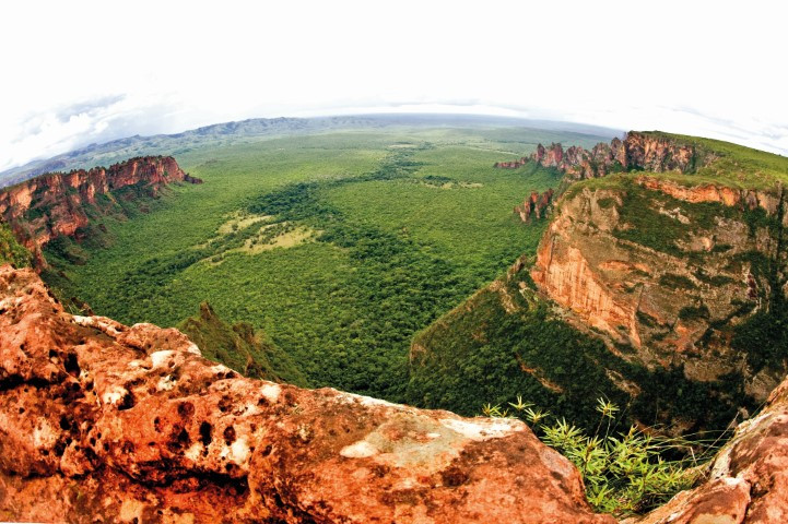 Imagem da matéria