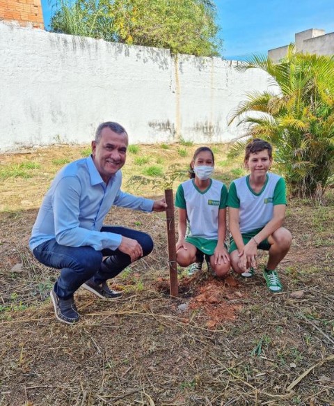 Imagem da matéria