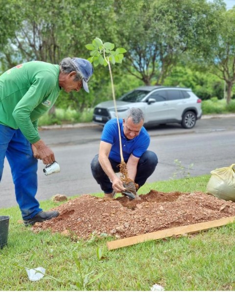 Imagem da matéria