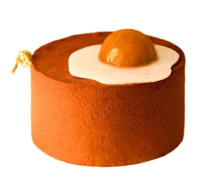 Imagem da matéria